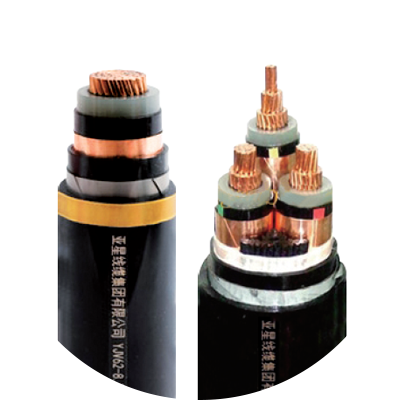 醫(yī)用(yòng)消毒劑系列